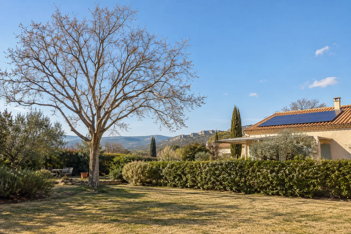Arbre taillé en bordure de jardin laissant dégagé un toit équipé de panneaux solaires